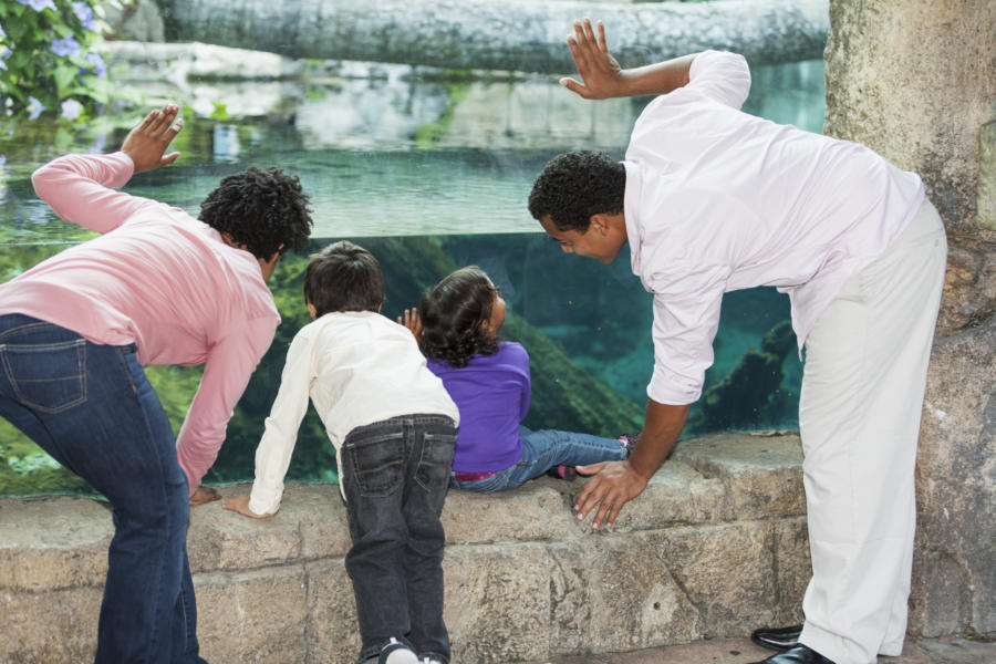 A gift of a trip to the aquarium or another experience will be remembered long after “things” are forgotten.